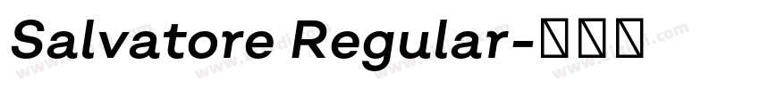 Salvatore Regular字体转换 Salvatore Regular字体转换